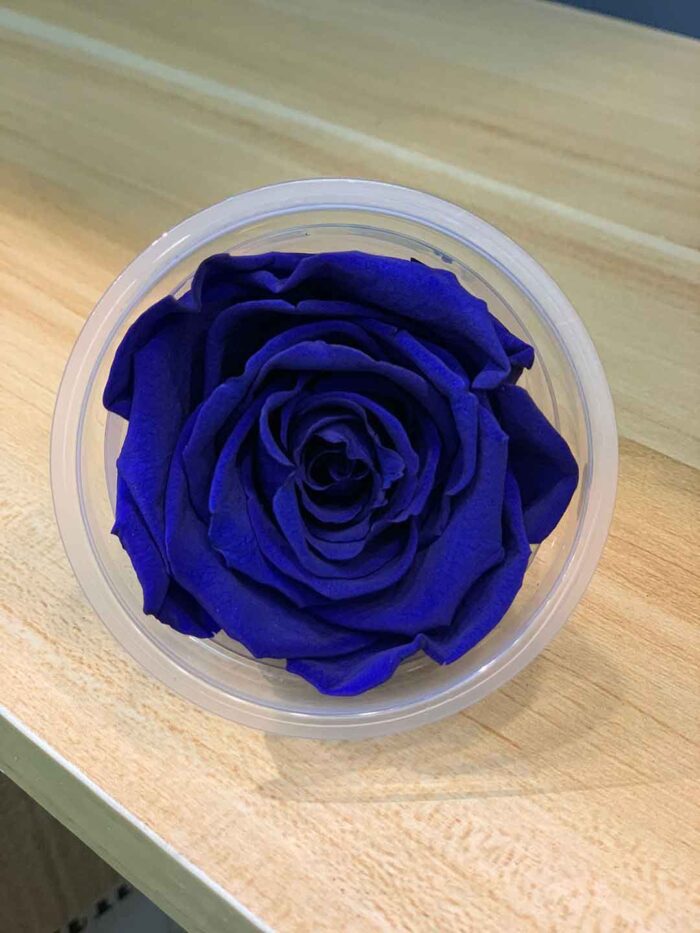 6-7cm Rose Amor 特級保鮮玫瑰（多色可選）：圖片 15