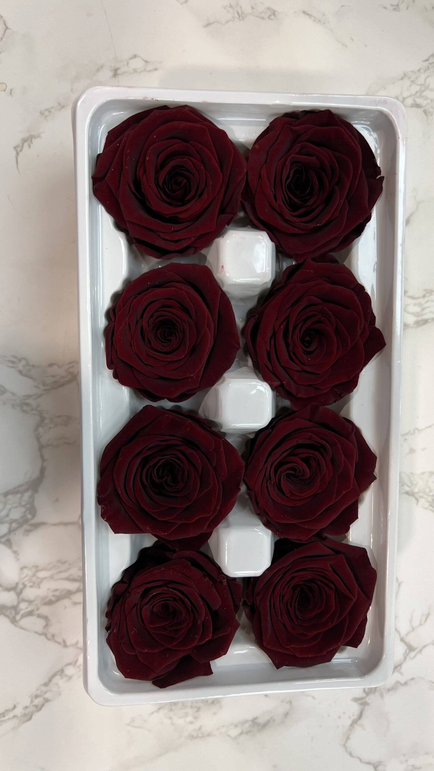 3-4cm直徑保鮮玫瑰(多色可選):圖片 2