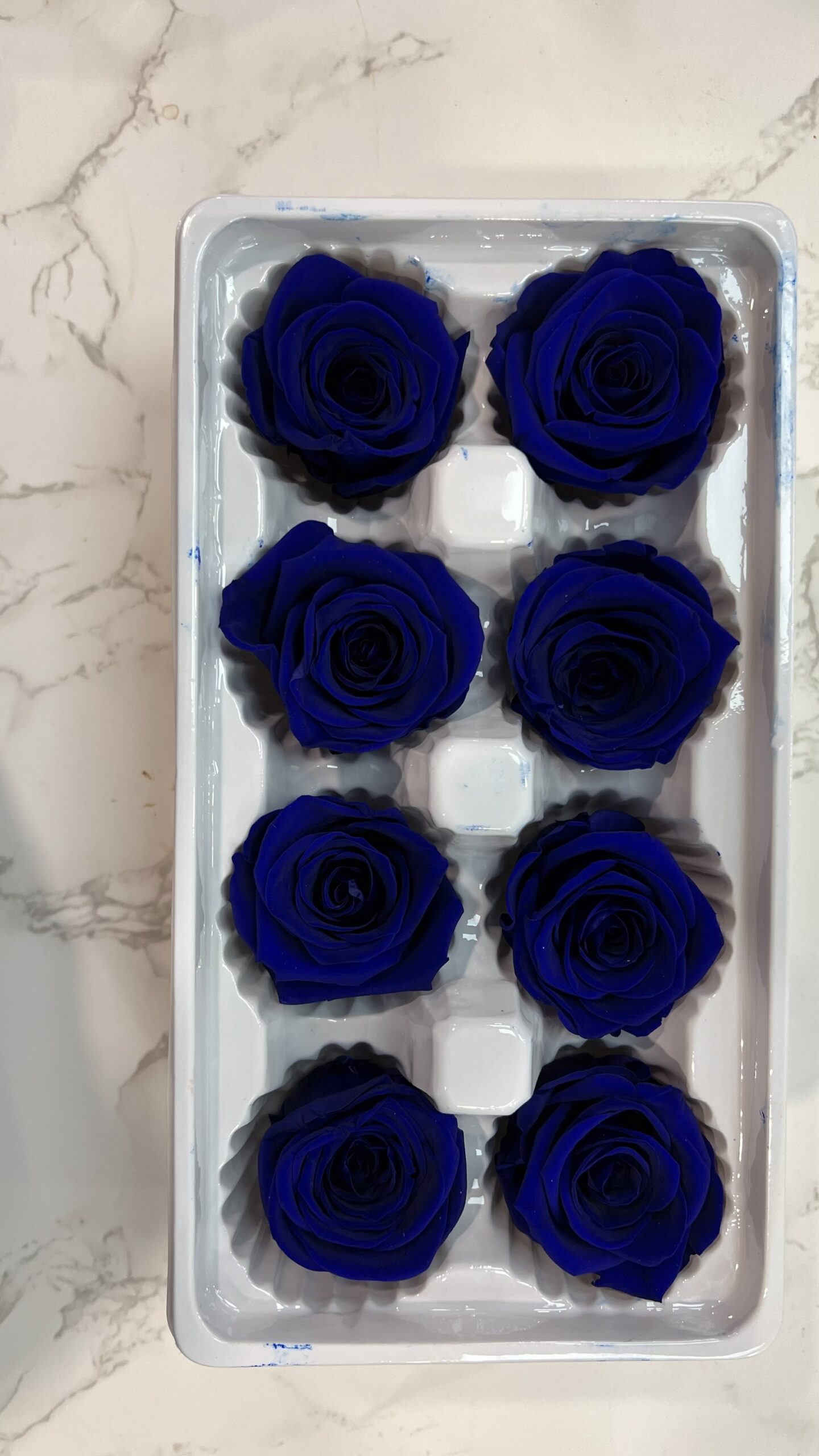 3-4cm直徑保鮮玫瑰(多色可選):圖片 3