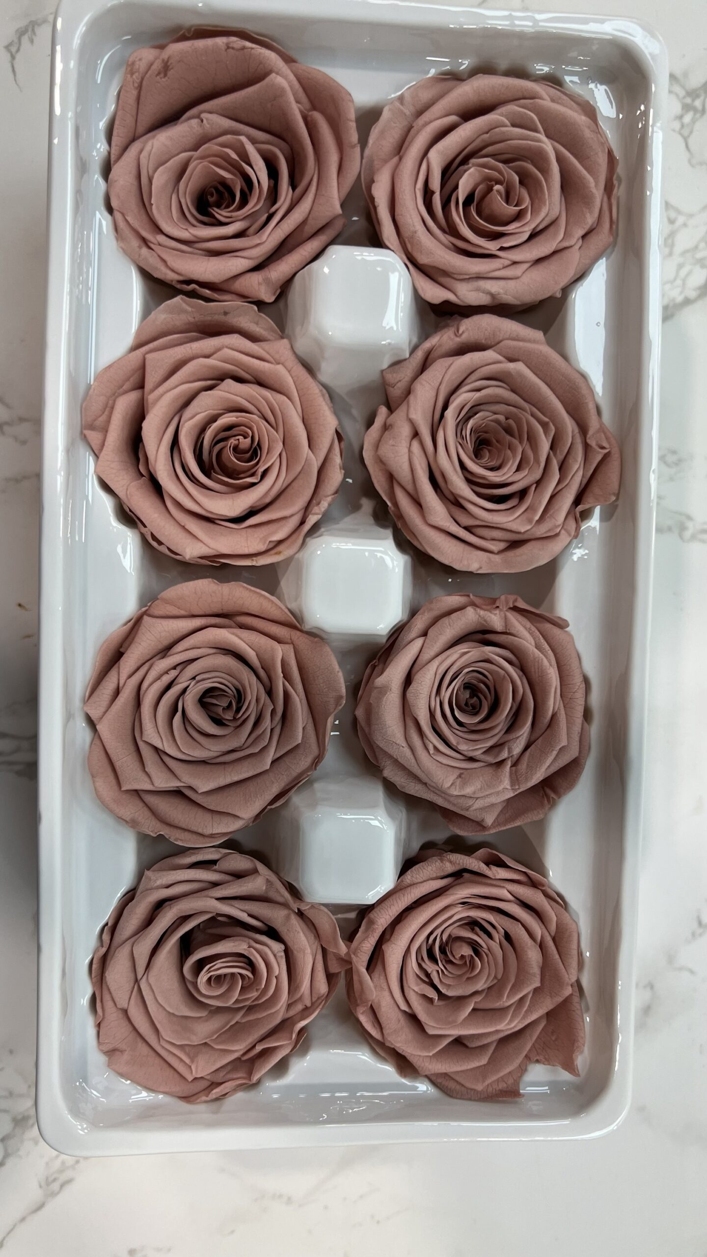 3-4cm直徑保鮮玫瑰(多色可選):圖片 4