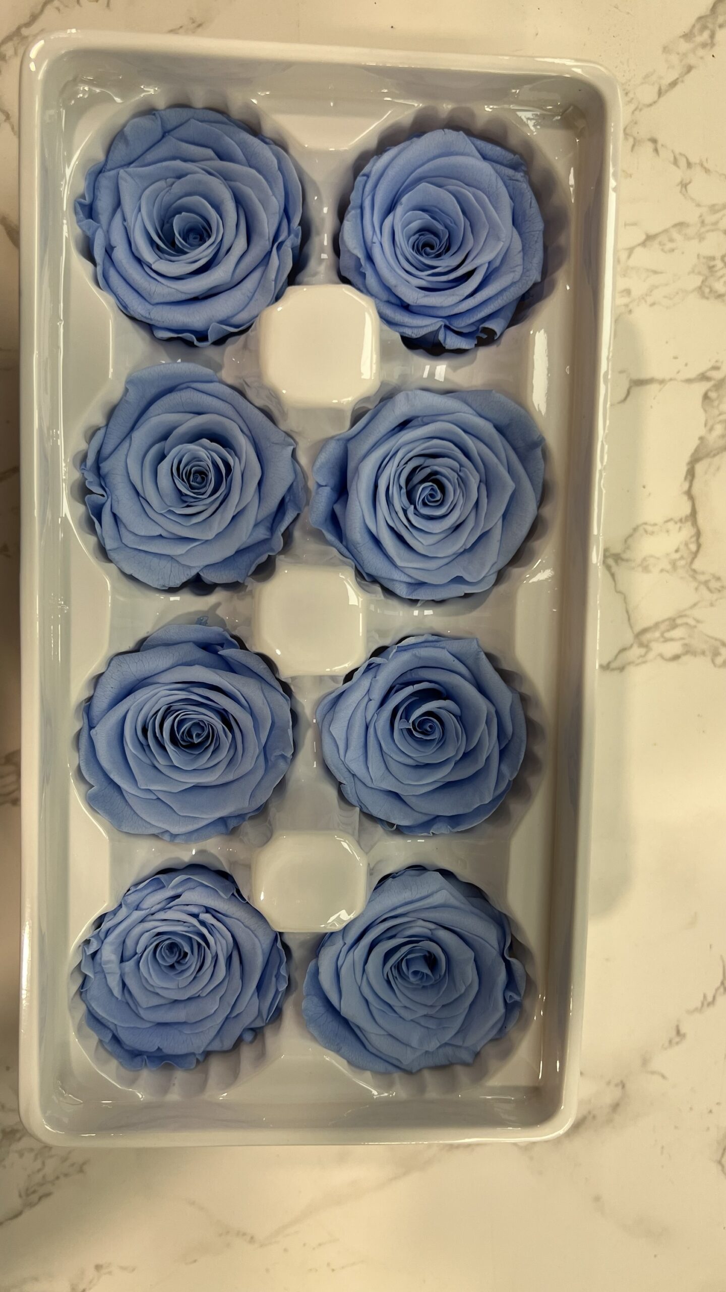 3-4cm直徑保鮮玫瑰(多色可選):圖片 5