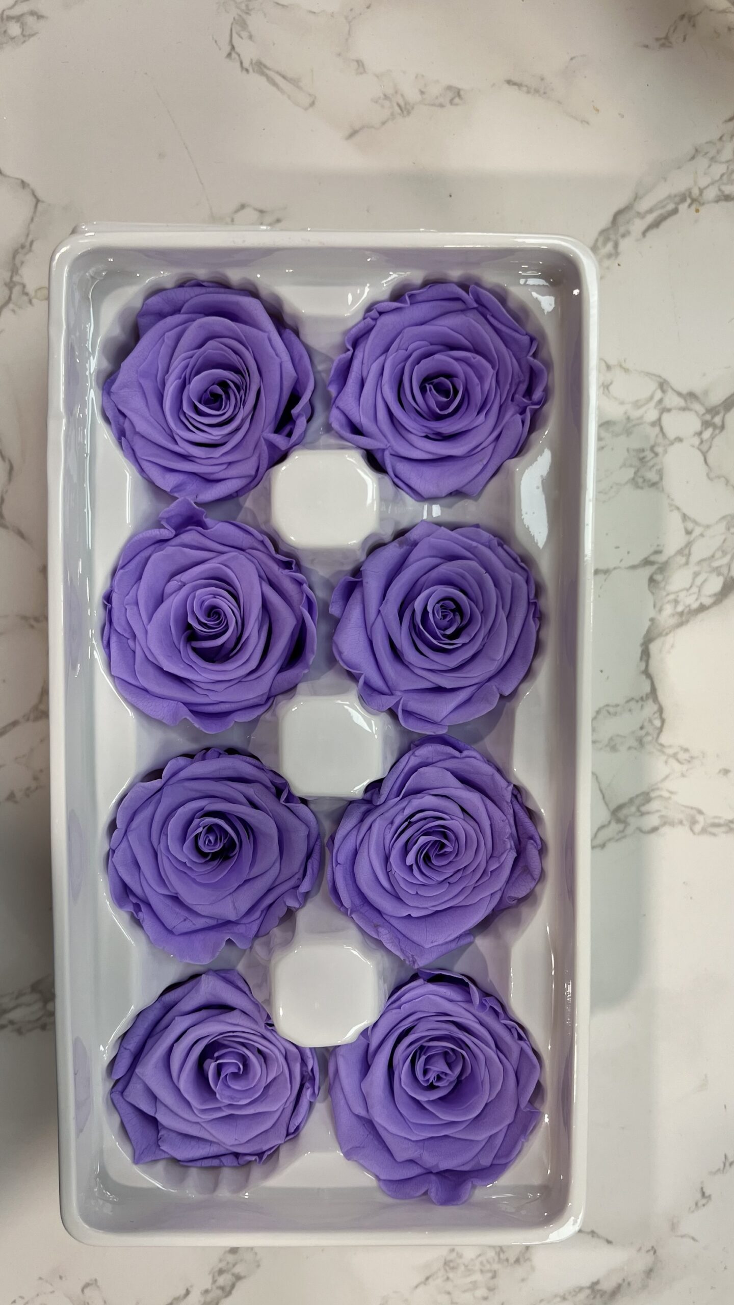 3-4cm直徑保鮮玫瑰(多色可選):圖片 6