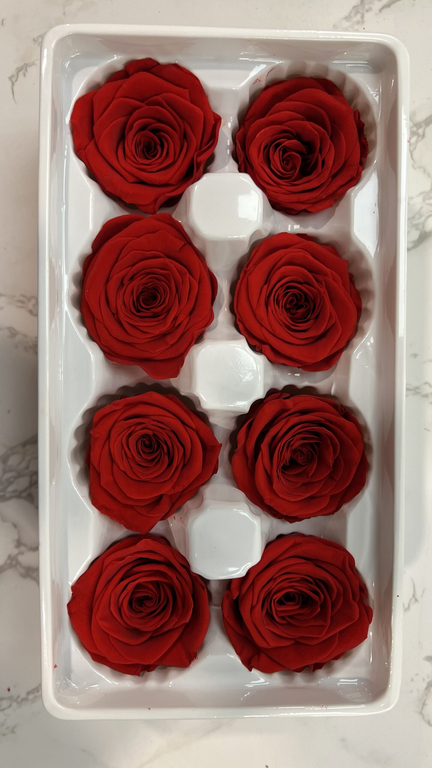 3-4cm直徑保鮮玫瑰(多色可選):圖片 7