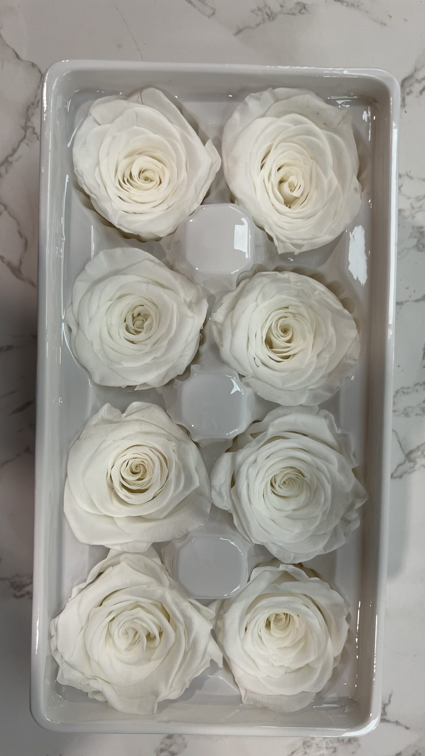 3-4cm直徑保鮮玫瑰(多色可選):圖片 8