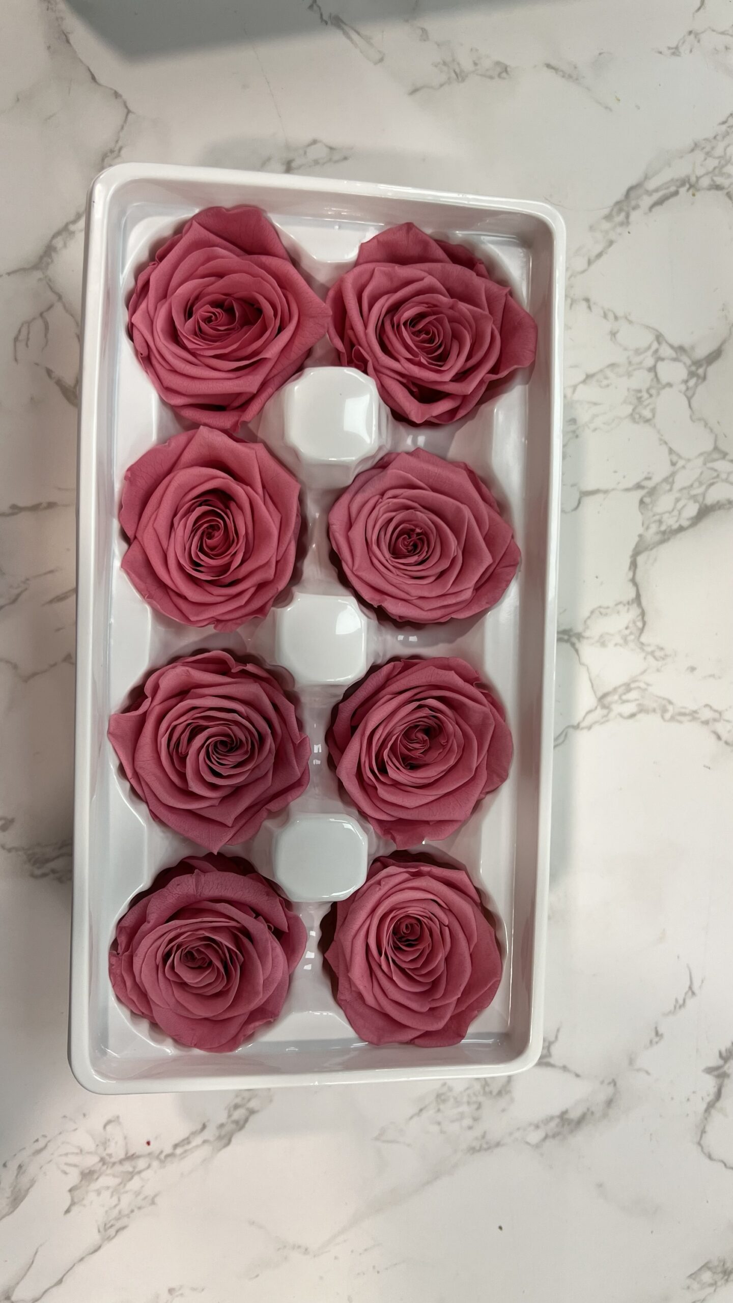 3-4cm直徑保鮮玫瑰(多色可選):圖片 9