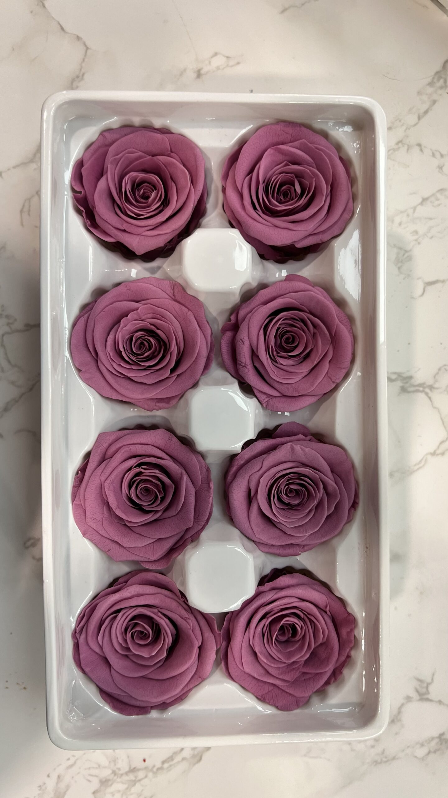 3-4cm直徑保鮮玫瑰(多色可選):圖片 10