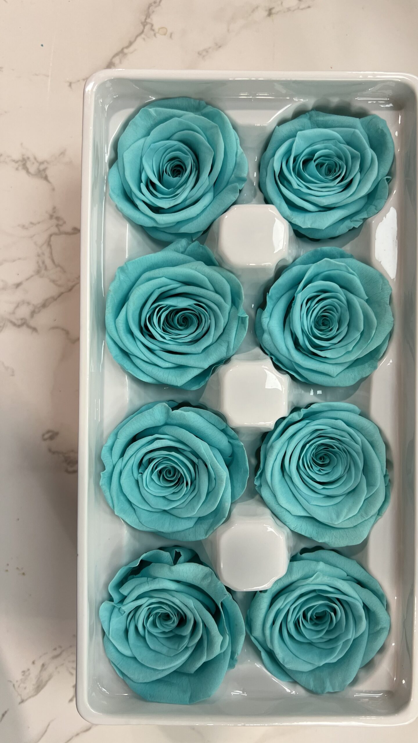 3-4cm直徑保鮮玫瑰(多色可選):圖片 11