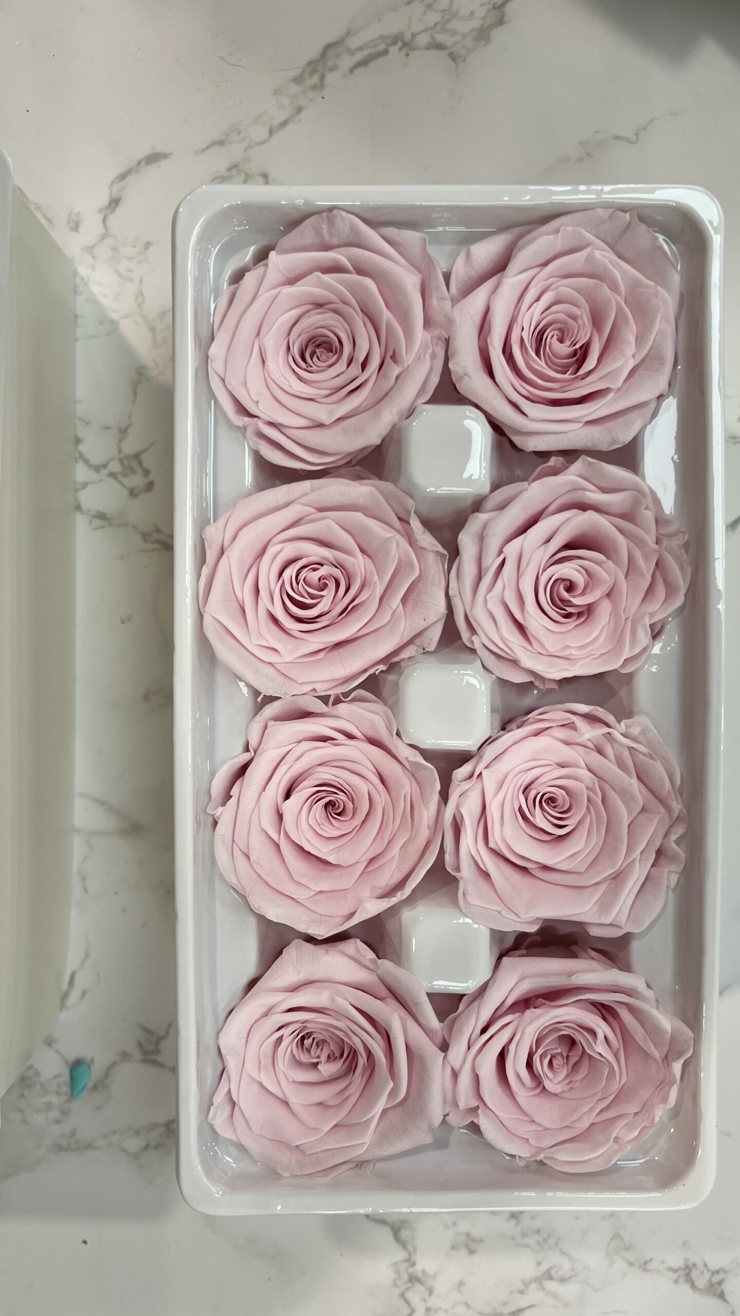 3-4cm直徑保鮮玫瑰(多色可選):圖片 12